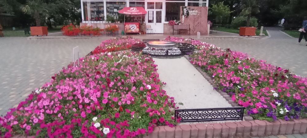 Продаю ділянку в горах Карпат Голубине Вілла Квітка
