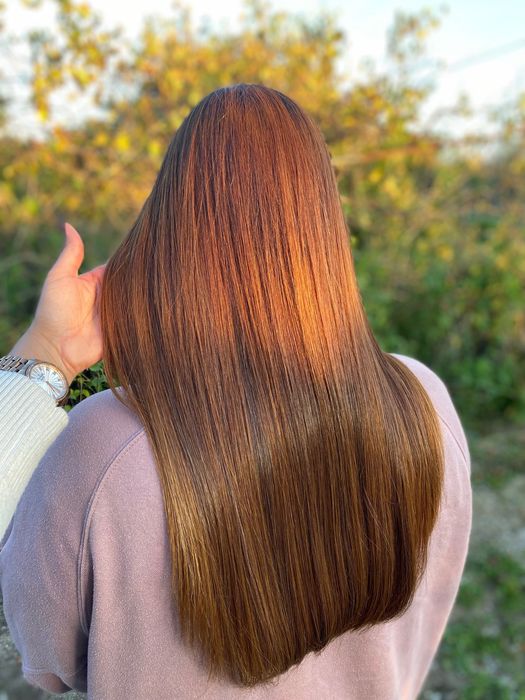 ALISAMENTO ORGÂNICO 55€