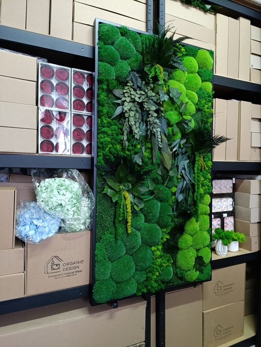 Картини з Мохом. Декор із Моху. Фітопанель з Моху