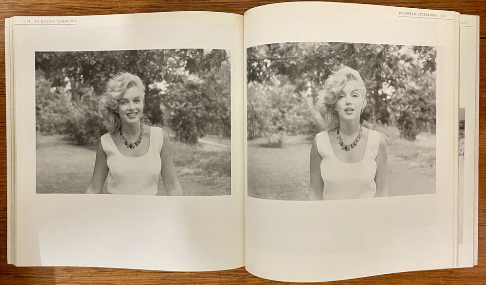 Livro "Marilyn Among Friends"