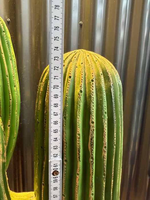 2 magníficos cactos decorativos, preço novo 339 €