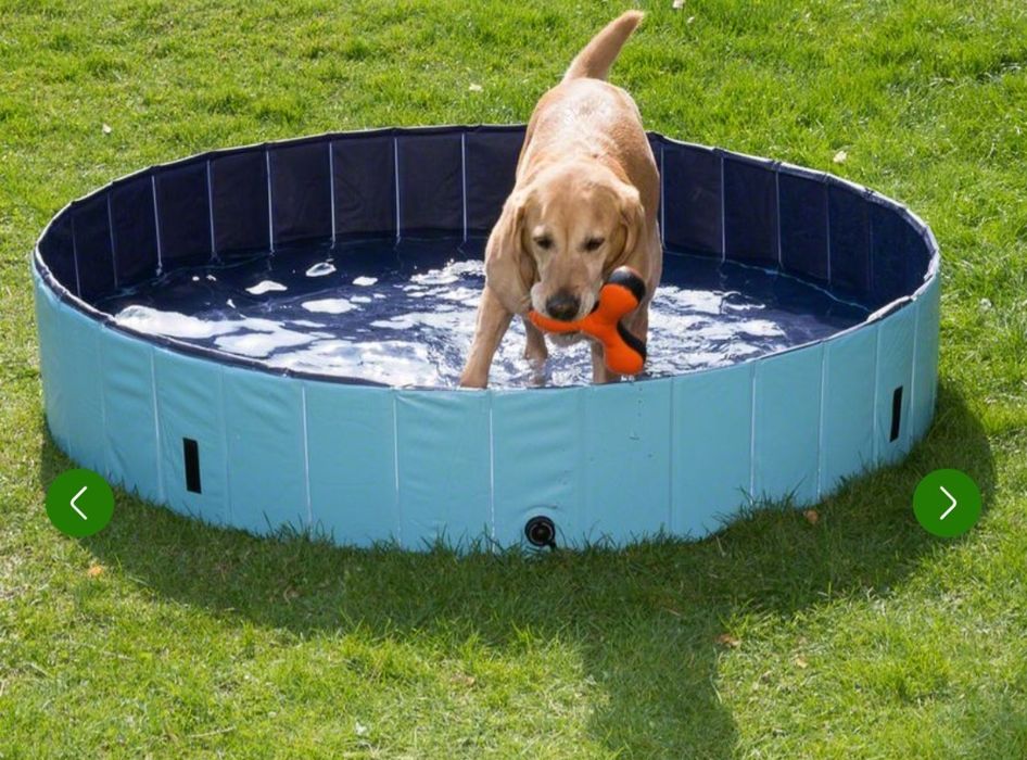 Dog Pool Keep Cool basen dla psa maly 80×20( nr 2)