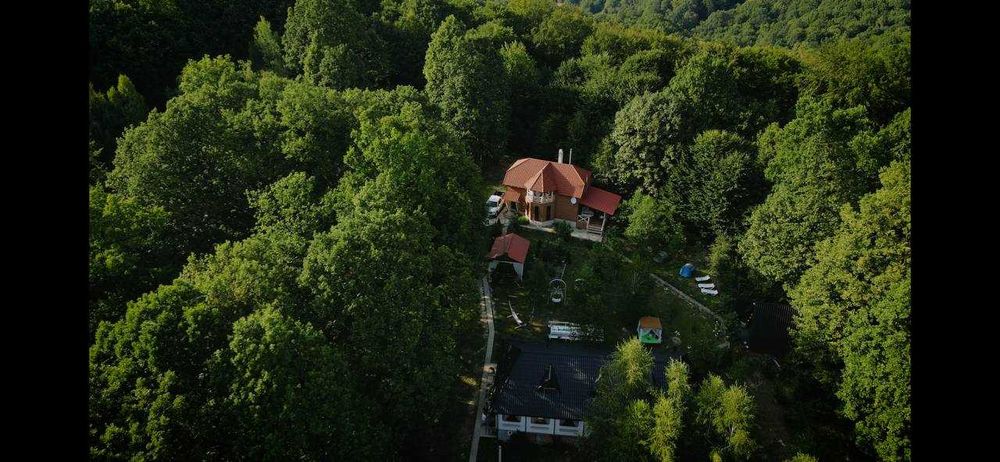 Продається діючий відпочинковий комплекс в горах в с. Грушево.