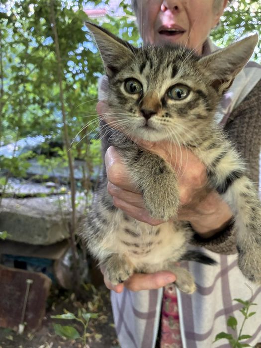 Хлопчик котик для вас