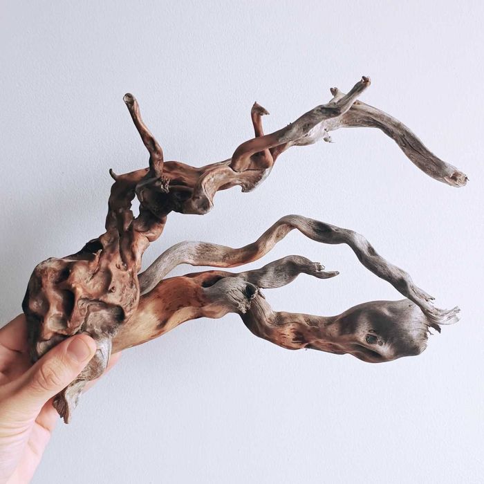 Корчі, коряги, декорації для акваріума/тераріума