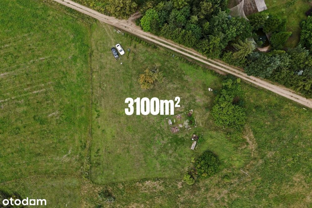 Działka 3130 m² | WZ | 500 m od jeziora Tałty - Widok 5