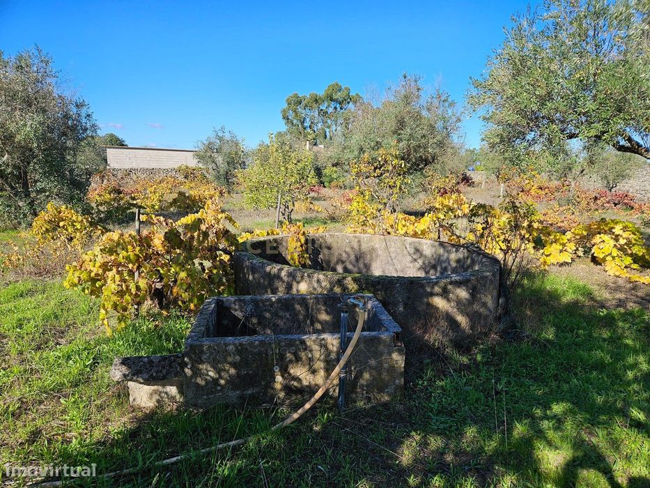 Fantástico Terreno Rústico em Alcains, Castelo Branco