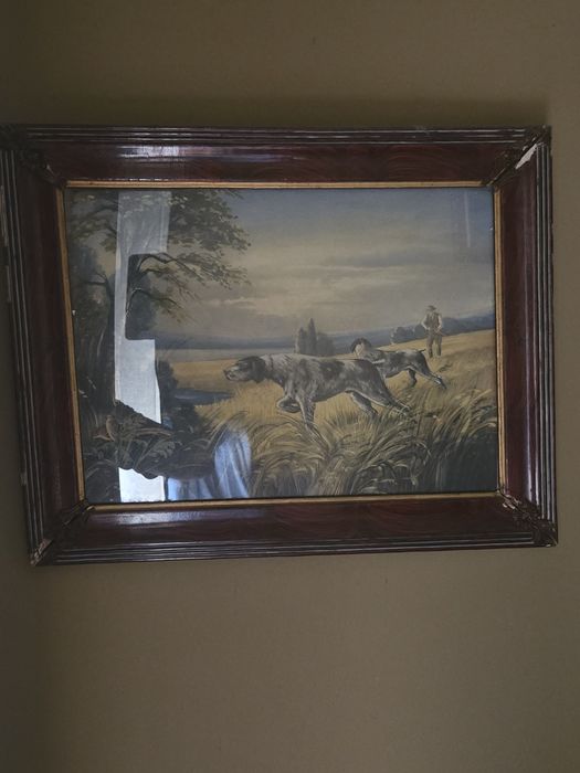 Quadro cachorros no campo