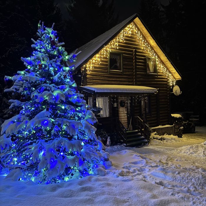 «Котеджі біля лісу» на 4-8 осіб