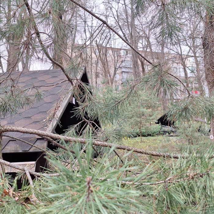 3-комнатная квартира у парка | Кирпичный дом | Свежий воздух