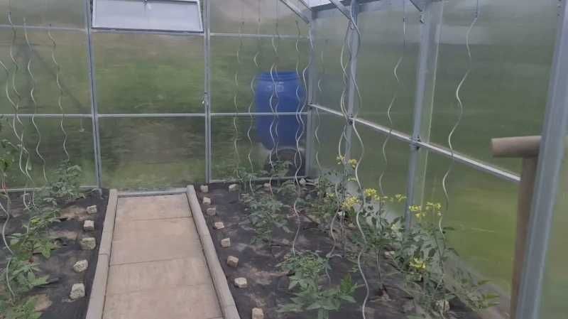 Szklarnia 3,6 3 M PRO