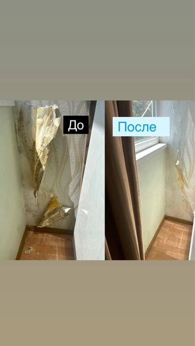 Удаление грибка , устранение грибка ! Удаление плесени с гарантией