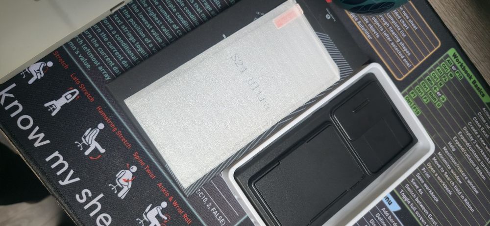 Etui tongate s24 ultra