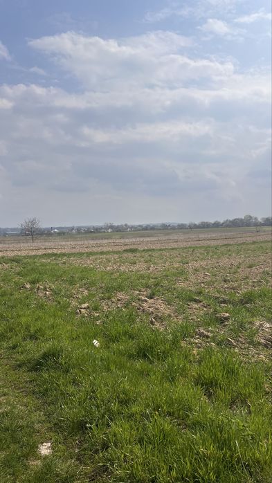 Продаж земельної ділянки в Чагрі