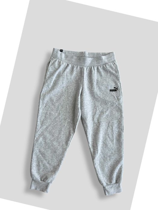 Жіночі спортивні штани Puma Essentials Fleece Sweatpants, (р. L)