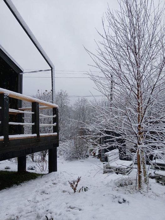 Відпочинок в Карпатах,оренда котеджу (до 5 гостей)  ЦІНА ЗА КОТЕДЖ