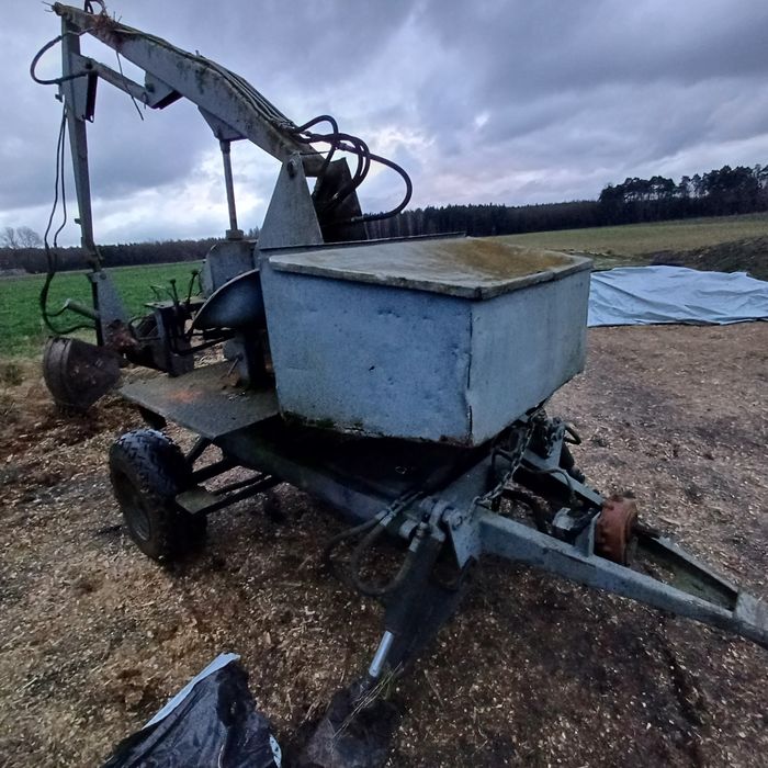 Ladowacz cyklop polski