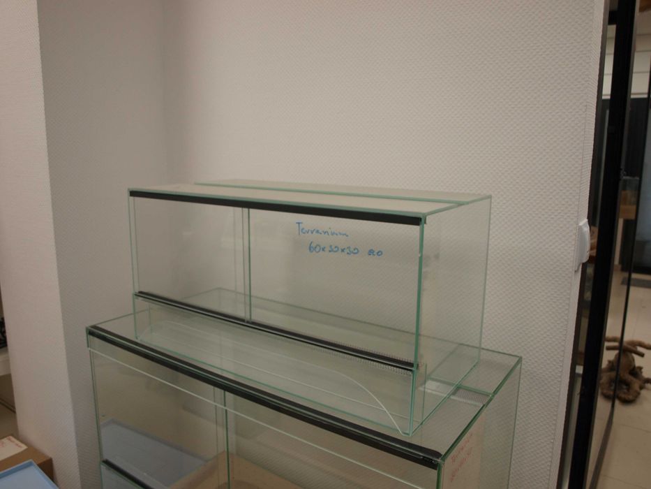Terrarium szklane 60x30x40