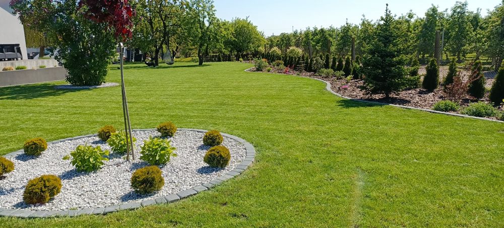 Firma Ogrodnicza "Mazurek" - Usługi ogrodnicze. Mycie kostki brukowej