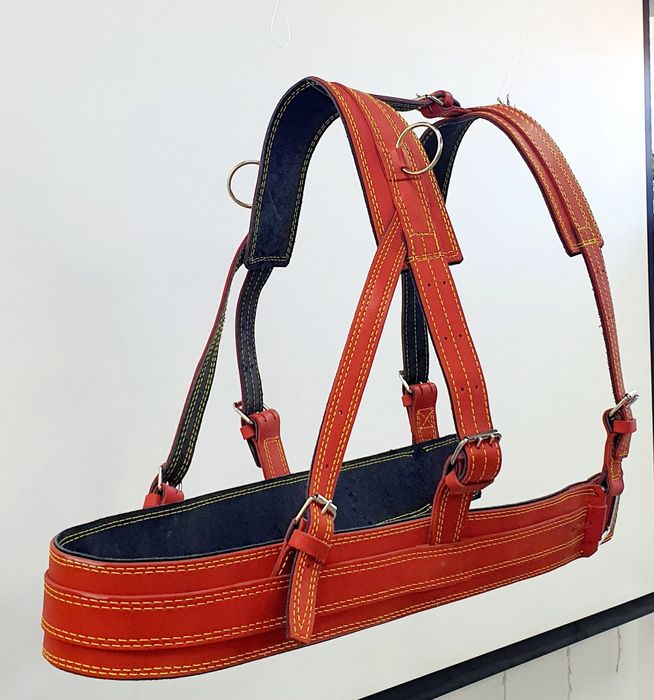Кінна амуніція. Шлея європейка шкіряна на коня. Великий вибір упряжі