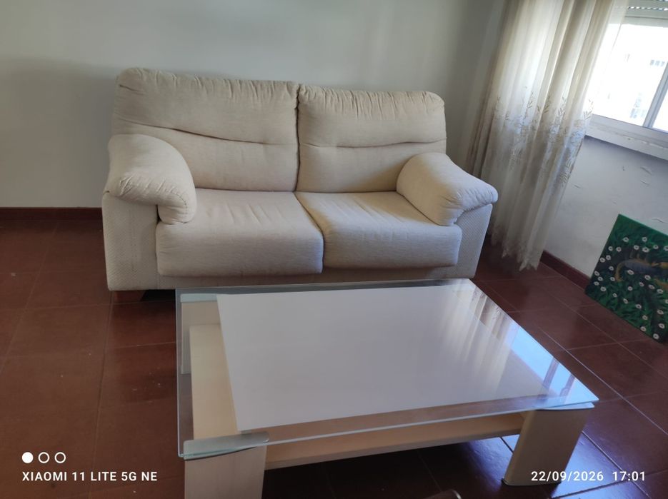Sofá + mesa de centro