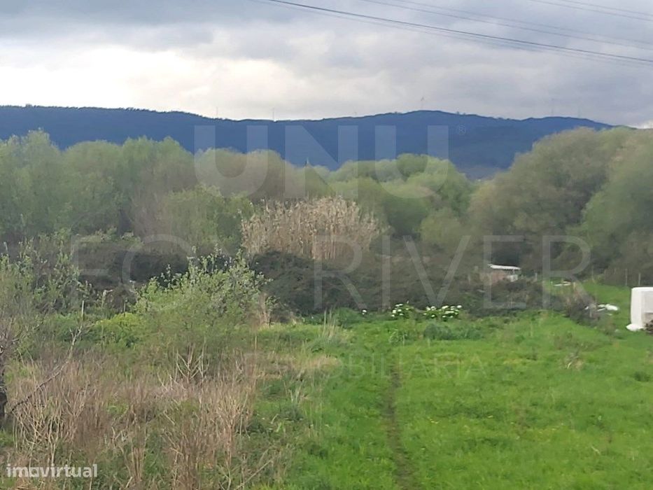 Terreno Urbanizado - Darque — Darque, Viana do Castelo