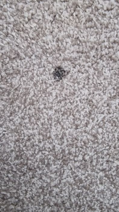 Tapete cinza/ beje mesclado 2:3m