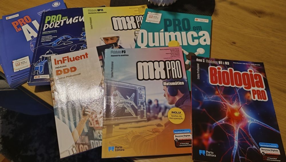 Manuais curso profissional 11 °ano