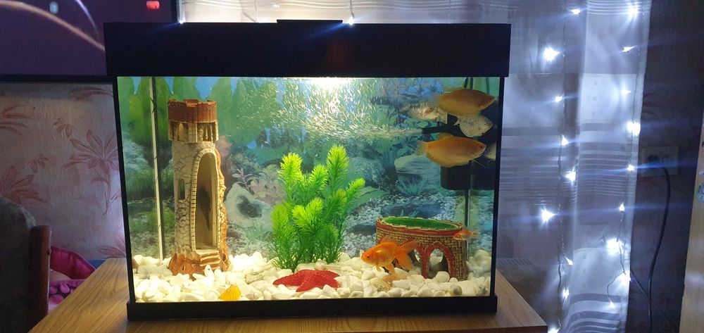 Акваріум на 60 л.