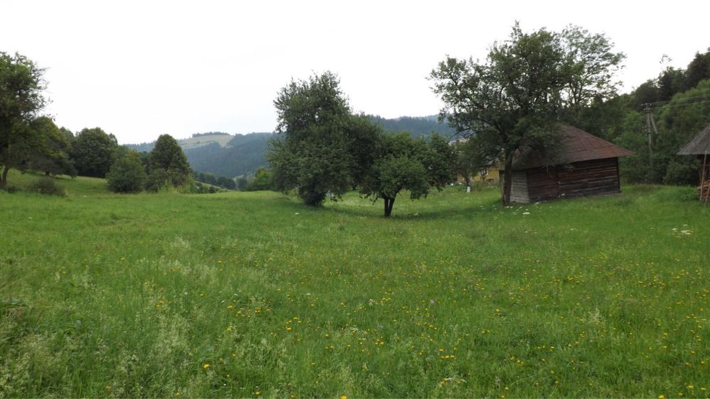 Продам земельну ділянку в карпатах!!!