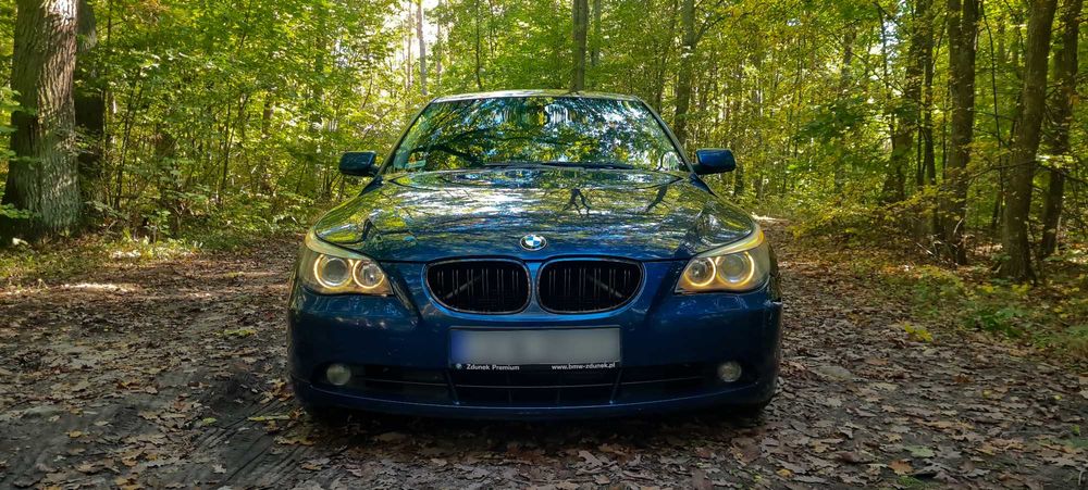 BMW serii 5 E60 520d *POLSKI SALON*