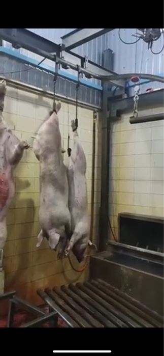 Продам бойню Хорошів, Житомирський район