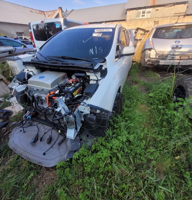 Двері Nissan Leaf