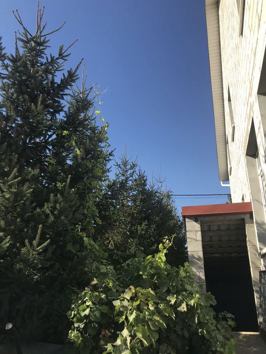 House by the address (area 248 m²) - Atlanta.ua - photo 4