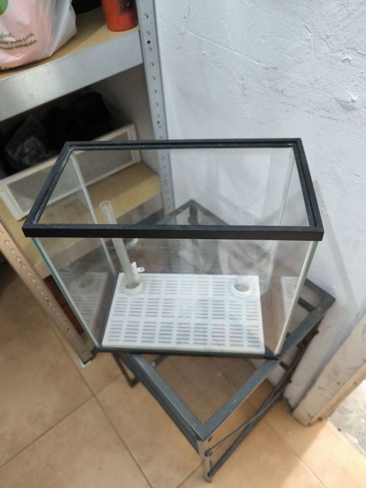 Vendo aquário pequeno