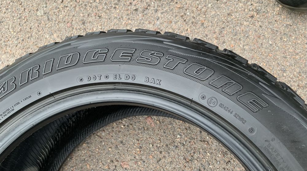 Шини Bridgestone Blizzak DM-V1 265/50 R19