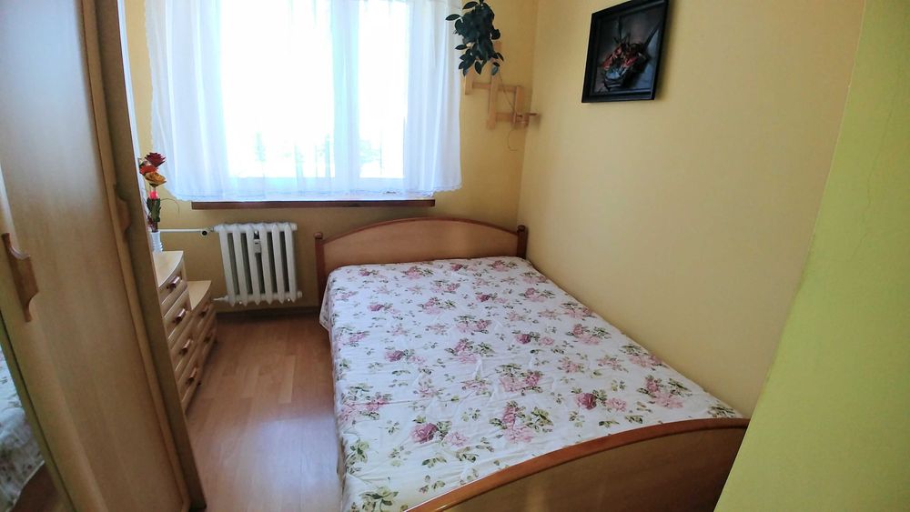 Mieszkanie do wynajecia