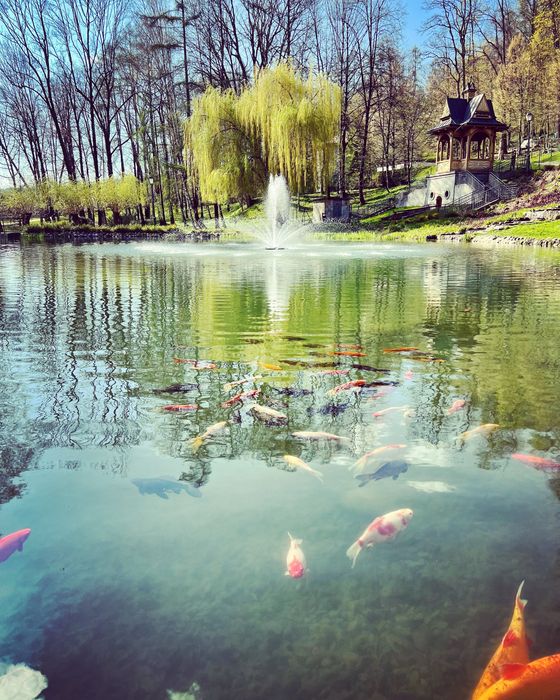 Centrum Szczawnica, wczasy, Dom Wczasowy Chemik