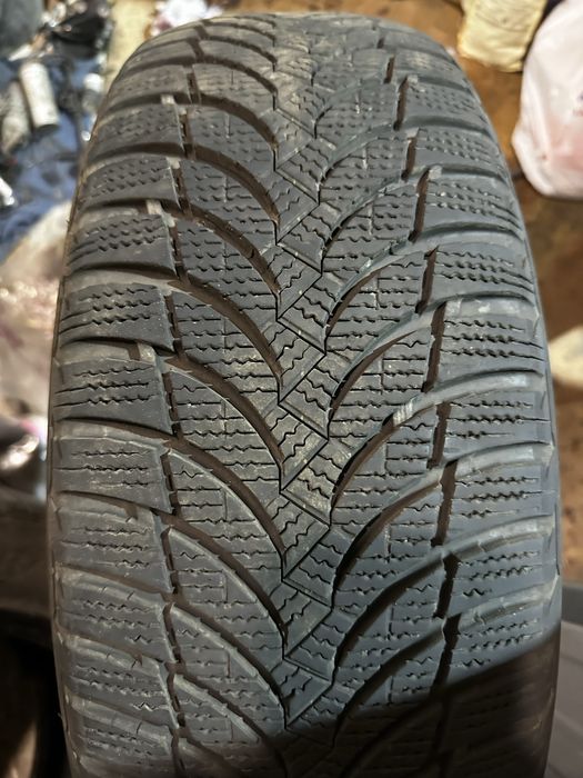 Зимняя резина Nexen 205/60R16 23 года