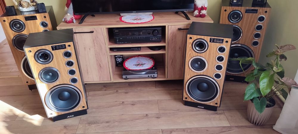 Altus 110 stan igła