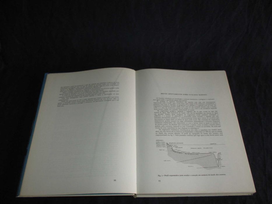 Livro Fauna Submarina Atlântica Luiz Saldanha