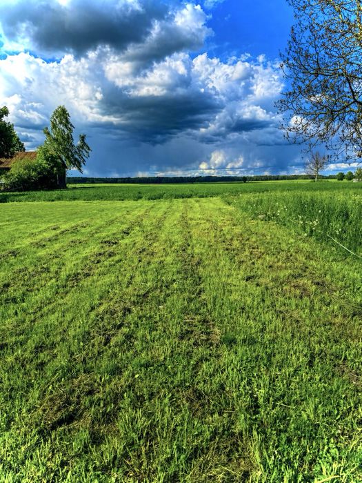 Działka w Rokitnie,  2037 m² z domem, 14 km od Białej Podl. - Widok 2