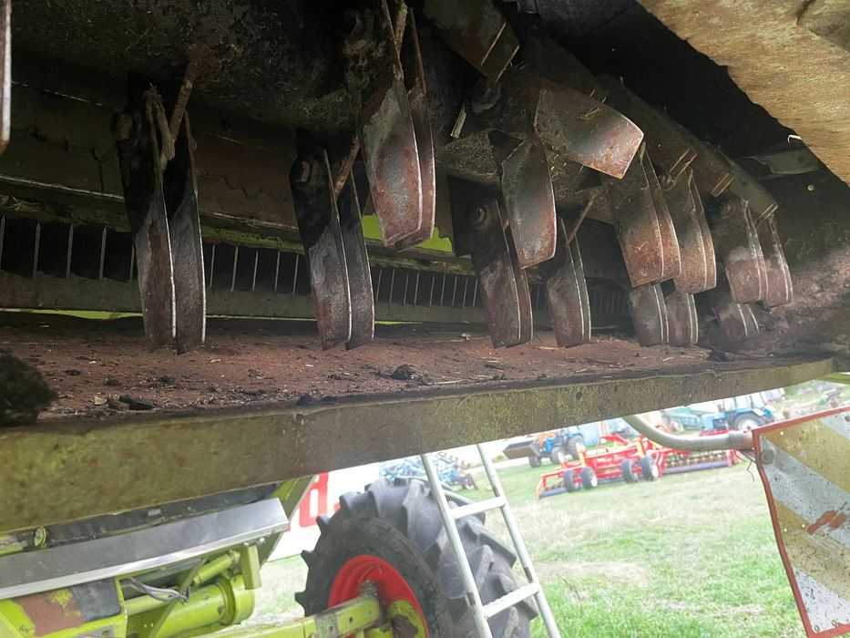 Dominator 118 SL MAXI