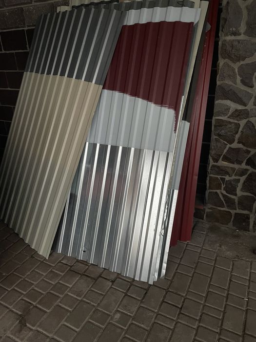 Металопофіль різнокольоровий