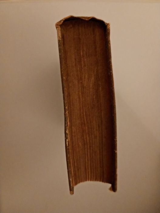 Novo Almanach 1890