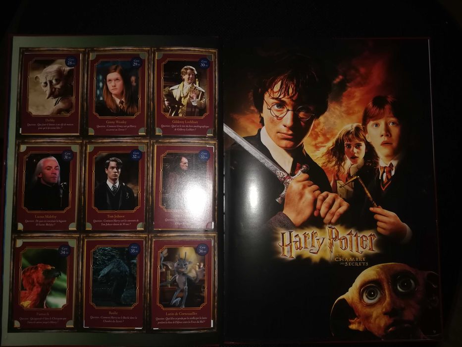 Caderneta do Harry Potter