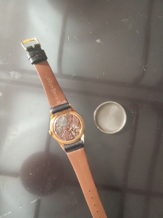 Olma suíço caixa grande!