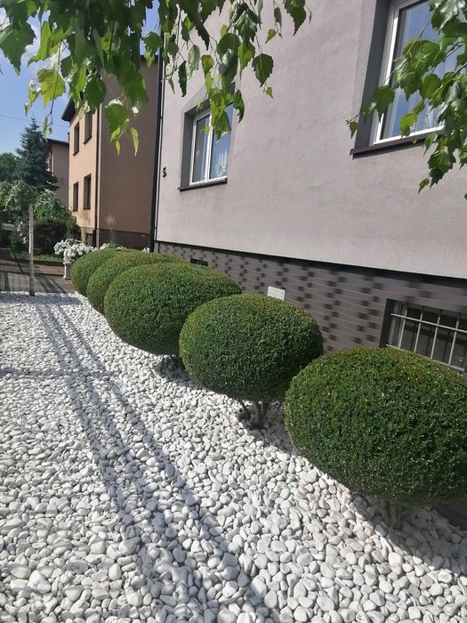 Formowanie krzewów