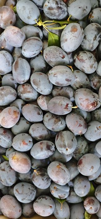Ameixas e batatas