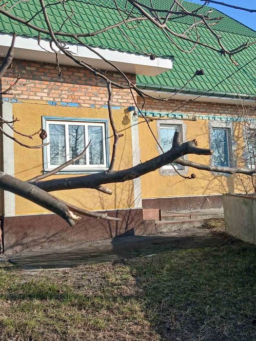 Будинок – Кожухівка, Фастівський район - Більше
